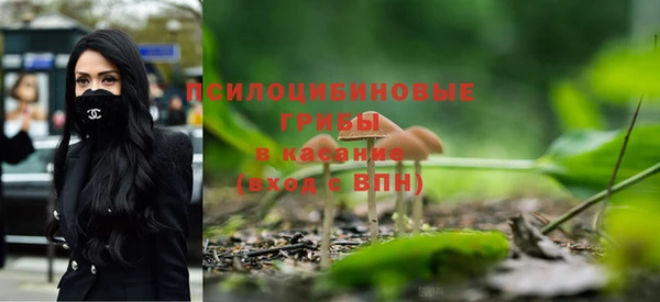 соль курить ск Алзамай